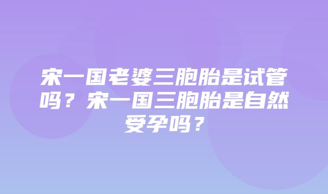 宋一国老婆三胞胎是试管吗？宋一国三胞胎是自然受孕吗？