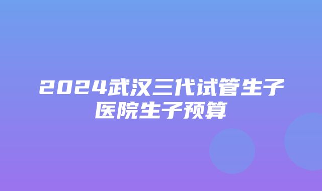 2024武汉三代试管生子医院生子预算