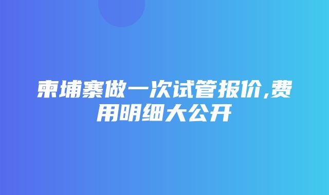 柬埔寨做一次试管报价,费用明细大公开