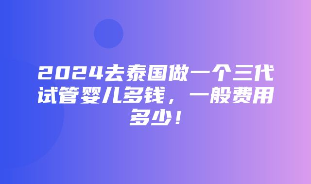 2024去泰国做一个三代试管婴儿多钱，一般费用多少！