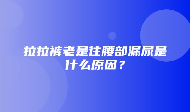 拉拉裤老是往腰部漏尿是什么原因？