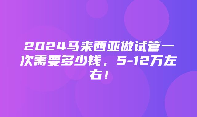 2024马来西亚做试管一次需要多少钱，5-12万左右！