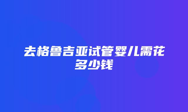 去格鲁吉亚试管婴儿需花多少钱