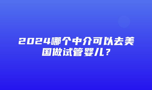 2024哪个中介可以去美国做试管婴儿？