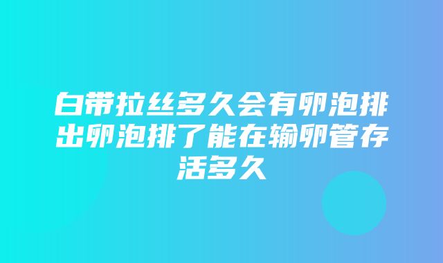 白带拉丝多久会有卵泡排出卵泡排了能在输卵管存活多久