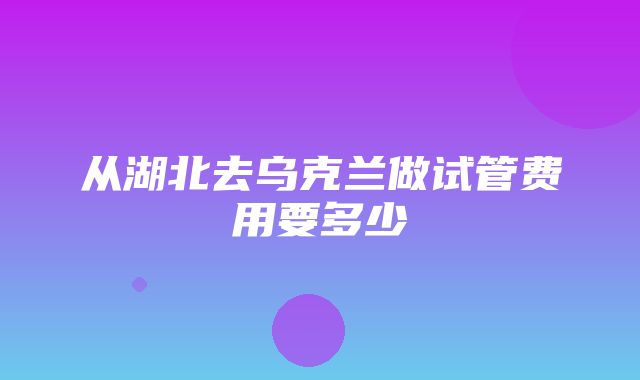 从湖北去乌克兰做试管费用要多少