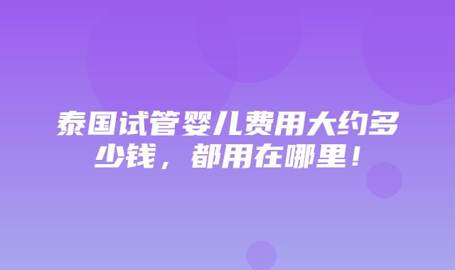 泰国试管婴儿费用大约多少钱，都用在哪里！