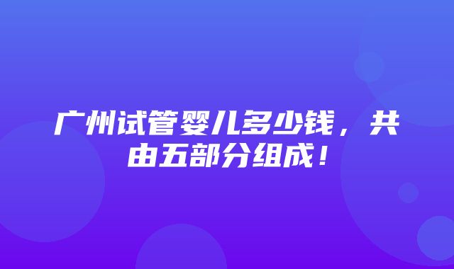 广州试管婴儿多少钱，共由五部分组成！