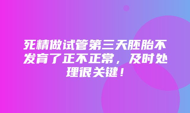 死精做试管第三天胚胎不发育了正不正常，及时处理很关键！