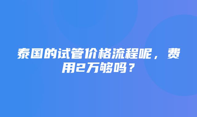 泰国的试管价格流程呢，费用2万够吗？