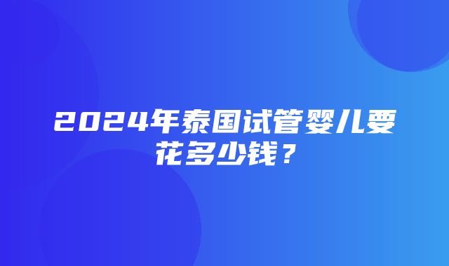 2024年泰国试管婴儿要花多少钱？