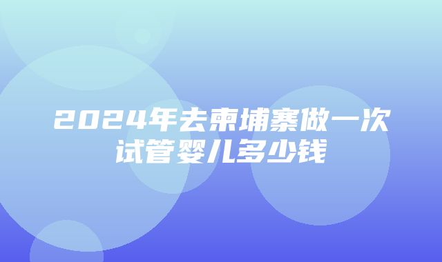 2024年去柬埔寨做一次试管婴儿多少钱