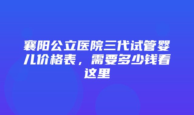 襄阳公立医院三代试管婴儿价格表，需要多少钱看这里