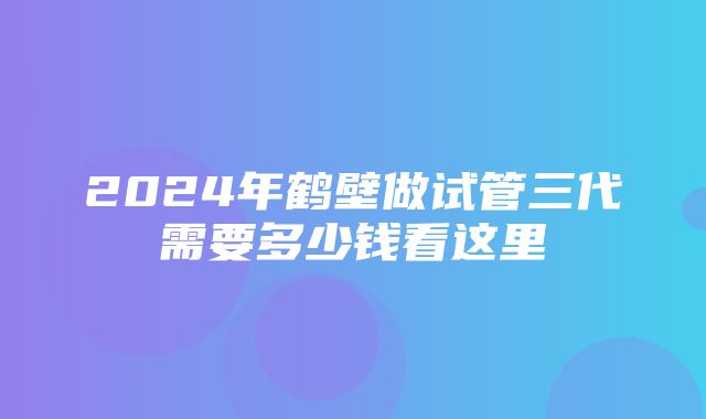 2024年鹤壁做试管三代需要多少钱看这里