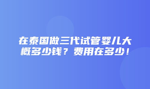 在泰国做三代试管婴儿大概多少钱？费用在多少！