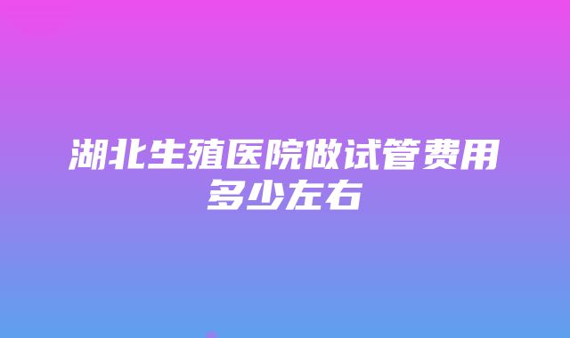 湖北生殖医院做试管费用多少左右