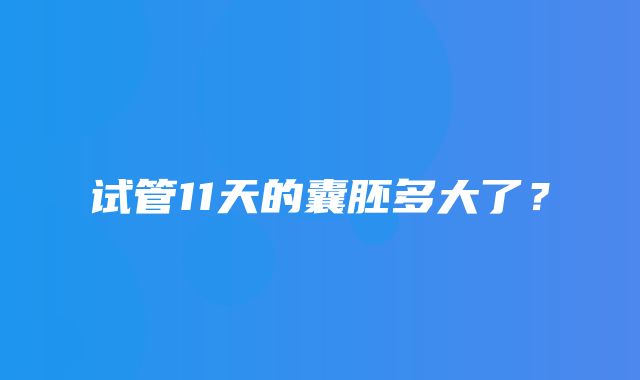 试管11天的囊胚多大了？