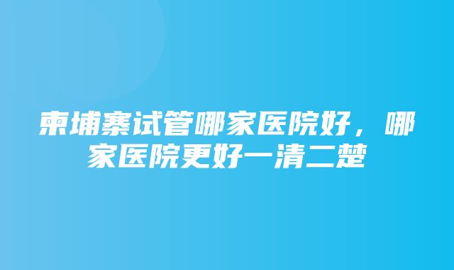 柬埔寨试管哪家医院好，哪家医院更好一清二楚