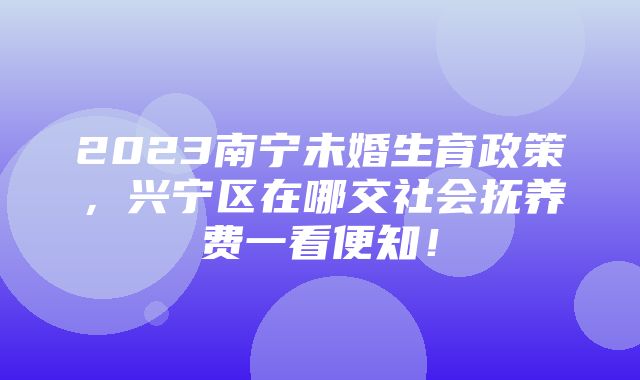 2023南宁未婚生育政策，兴宁区在哪交社会抚养费一看便知！