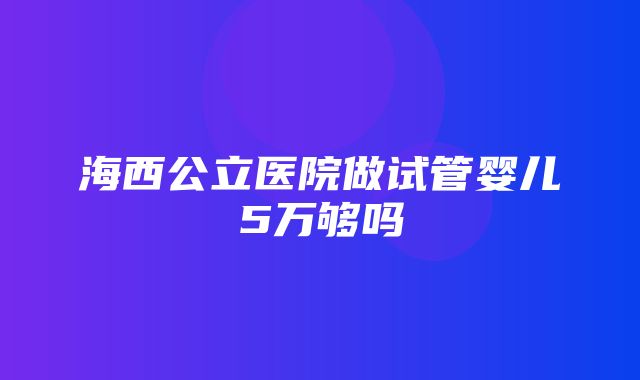 海西公立医院做试管婴儿5万够吗