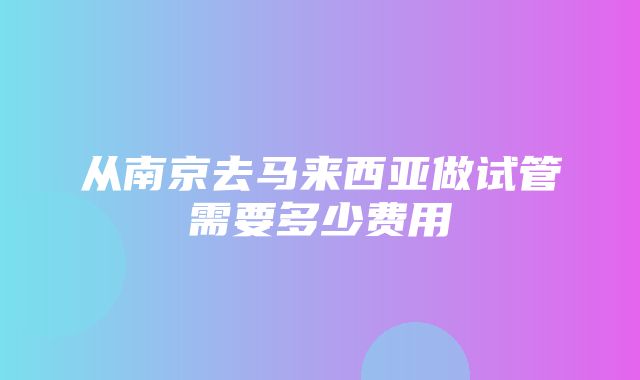 从南京去马来西亚做试管需要多少费用