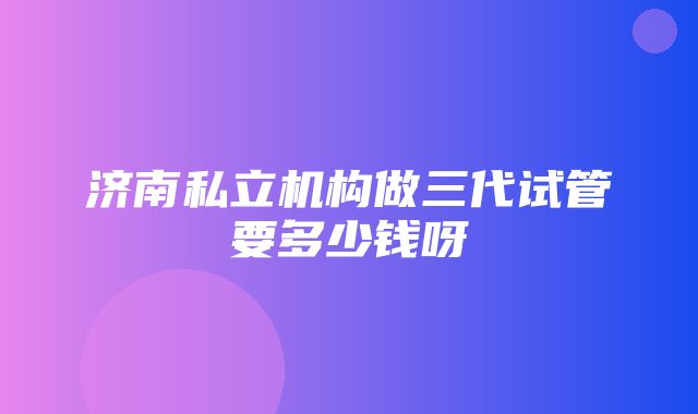 济南私立机构做三代试管要多少钱呀