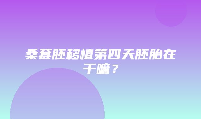 桑葚胚移植第四天胚胎在干嘛？