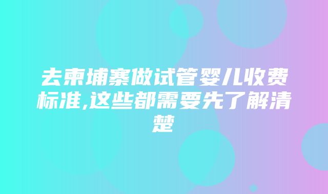 去柬埔寨做试管婴儿收费标准,这些都需要先了解清楚