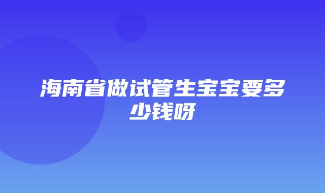 海南省做试管生宝宝要多少钱呀