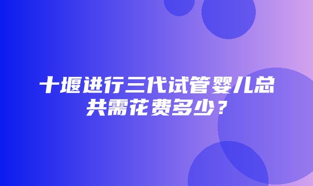 十堰进行三代试管婴儿总共需花费多少？