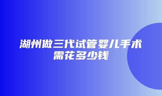 湖州做三代试管婴儿手术需花多少钱