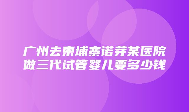 广州去柬埔寨诺芽某医院做三代试管婴儿要多少钱