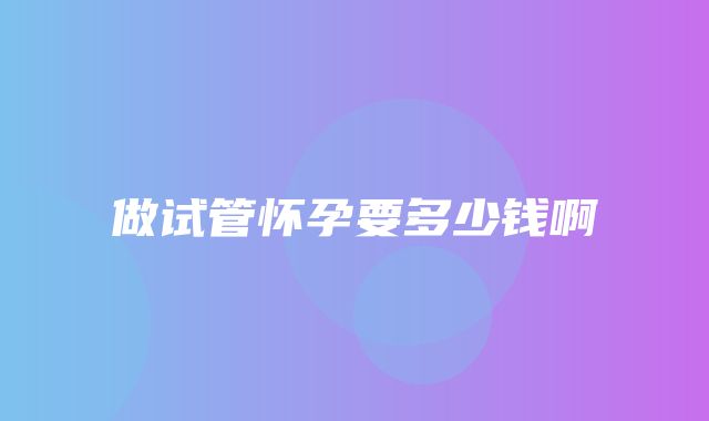 做试管怀孕要多少钱啊