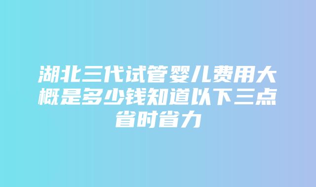 湖北三代试管婴儿费用大概是多少钱知道以下三点省时省力