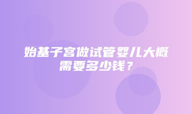 始基子宫做试管婴儿大概需要多少钱？