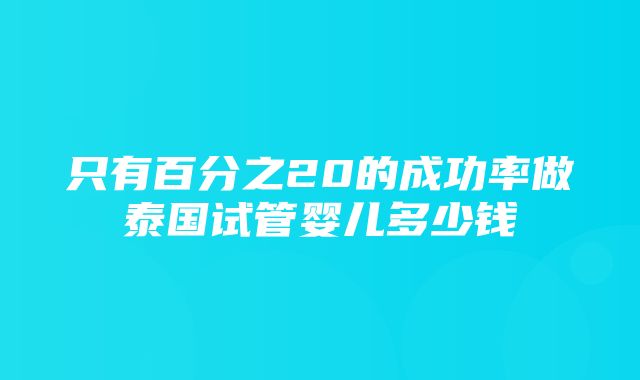 只有百分之20的成功率做泰国试管婴儿多少钱