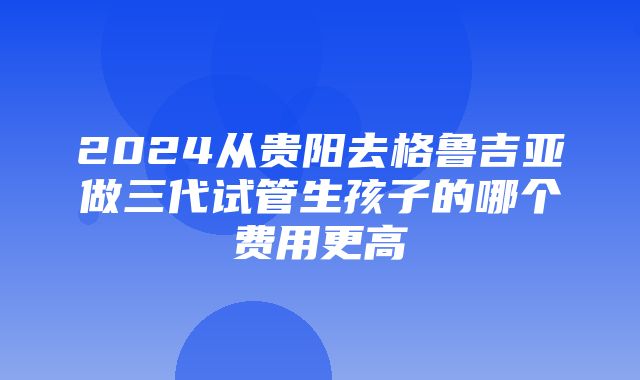 2024从贵阳去格鲁吉亚做三代试管生孩子的哪个费用更高