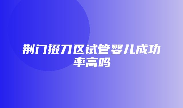 荆门掇刀区试管婴儿成功率高吗