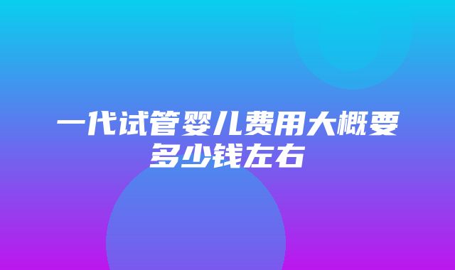 一代试管婴儿费用大概要多少钱左右