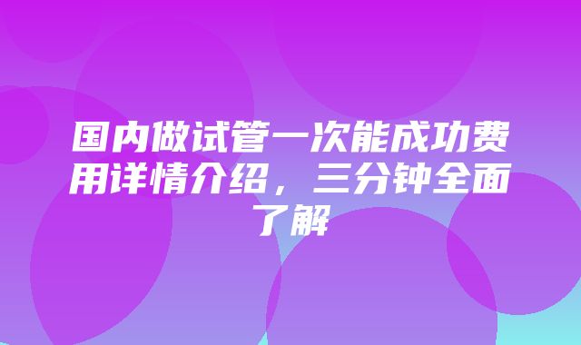 国内做试管一次能成功费用详情介绍，三分钟全面了解