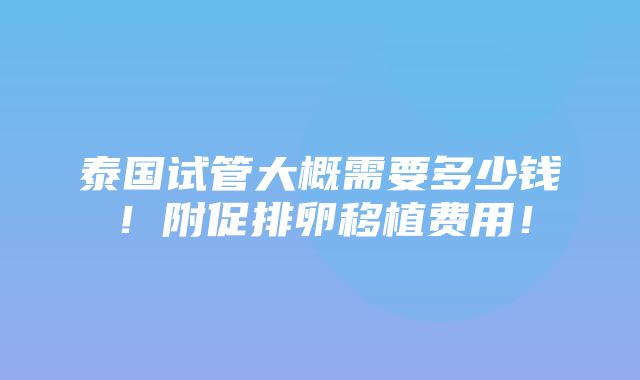 泰国试管大概需要多少钱！附促排卵移植费用！