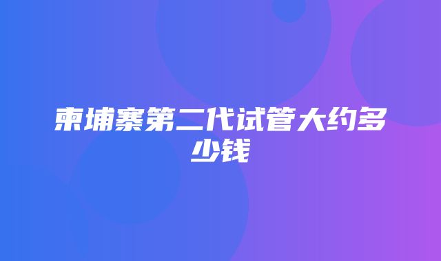 柬埔寨第二代试管大约多少钱