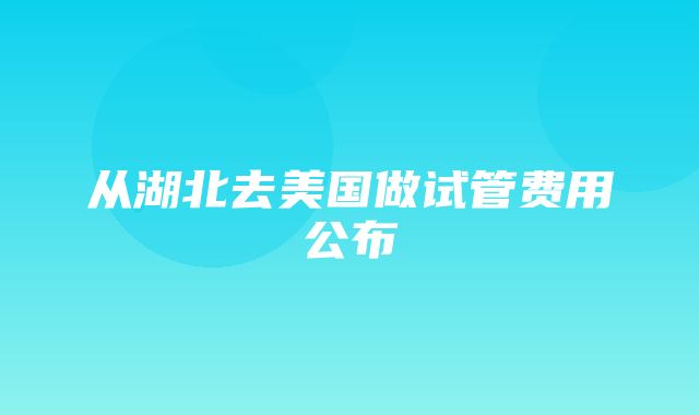 从湖北去美国做试管费用公布