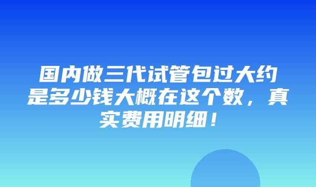 国内做三代试管包过大约是多少钱大概在这个数，真实费用明细！