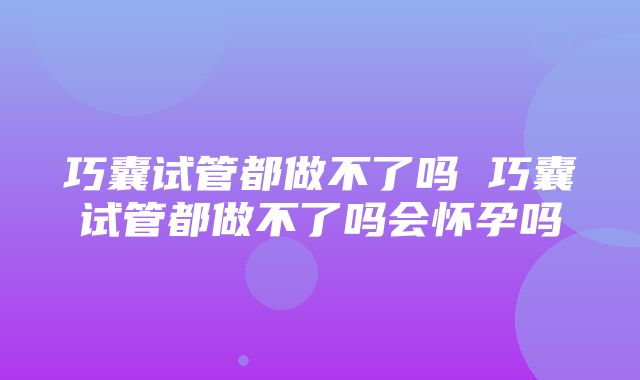 巧囊试管都做不了吗 巧囊试管都做不了吗会怀孕吗