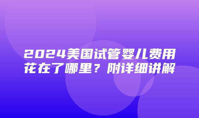 2024美国试管婴儿费用花在了哪里？附详细讲解