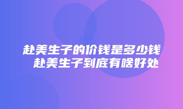 赴美生子的价钱是多少钱 赴美生子到底有啥好处