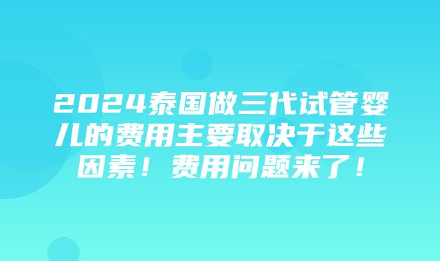 2024泰国做三代试管婴儿的费用主要取决于这些因素！费用问题来了！