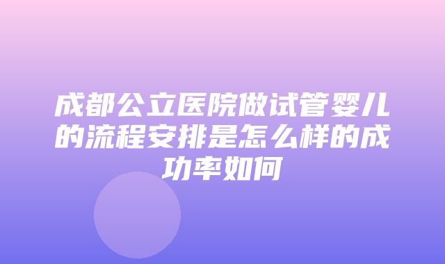 成都公立医院做试管婴儿的流程安排是怎么样的成功率如何