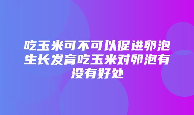 吃玉米可不可以促进卵泡生长发育吃玉米对卵泡有没有好处